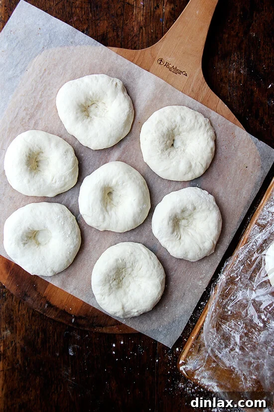 Your Guide to Perfect Homemade Bialys 11 Perfectly shaped bialys, each with a distinct well in the center, resting on a pizza peel.