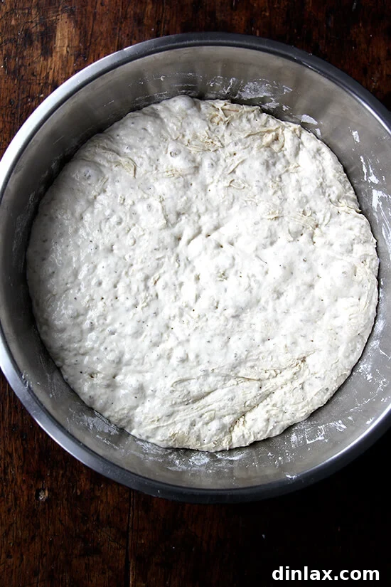 Your Guide to Perfect Homemade Bialys 2 A bowl holding bialy dough, fully risen and bubbly, after an overnight fermentation.