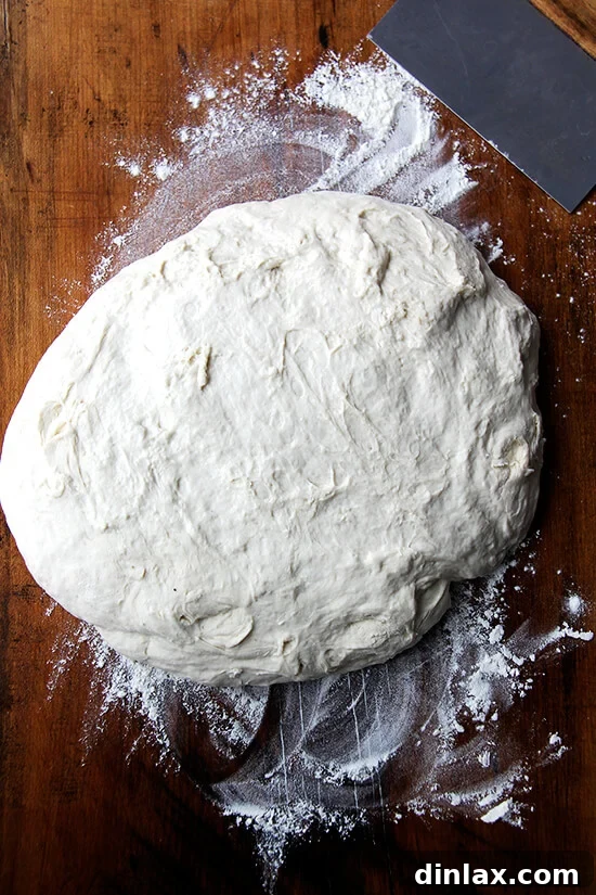 Your Guide to Perfect Homemade Bialys 3 Large mass of airy bialy dough resting on a floured wooden board.