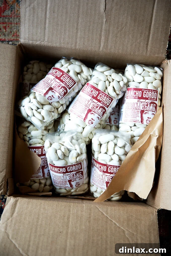 A box of premium quality heirloom Corona beans, packaged for gourmet cooking.