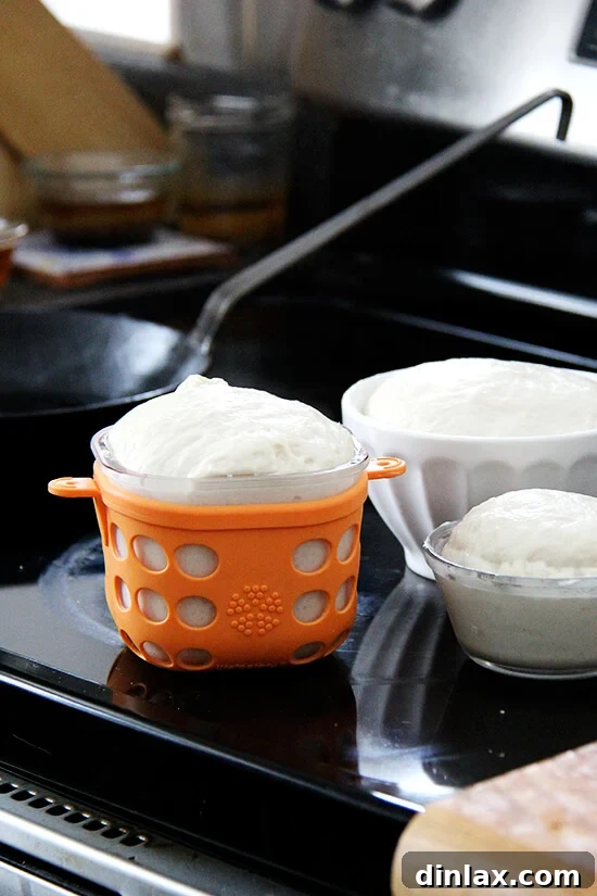 Bread dough rising in various molds on a baking sheet.