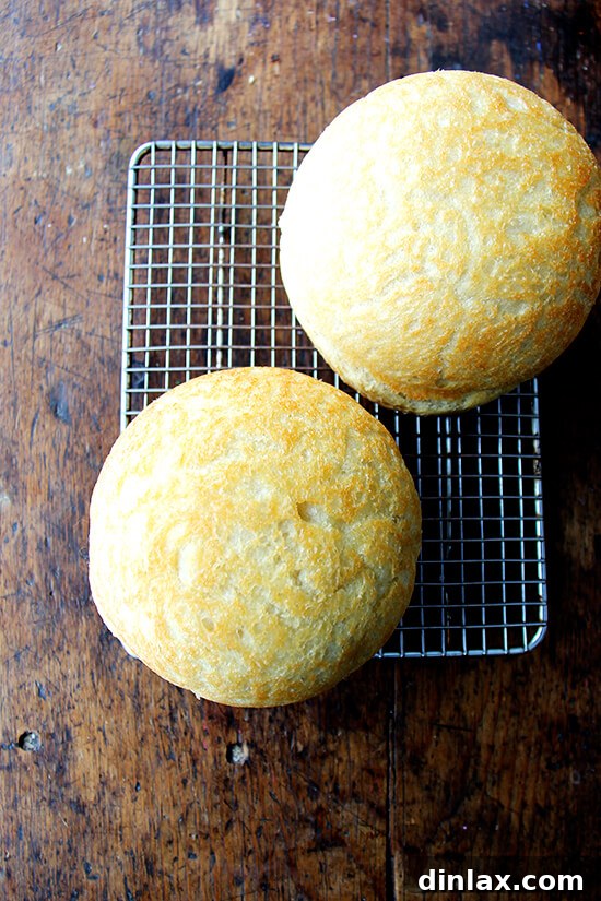 Spiced Apple Chutney Grilled Sandwich 6 peasant bread