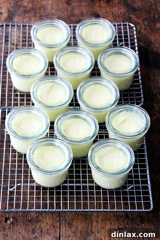 Velvet Vanilla Bean Custard 10 Cooling Pots de Crème, allowing their velvety texture to fully develop before chilling and serving.