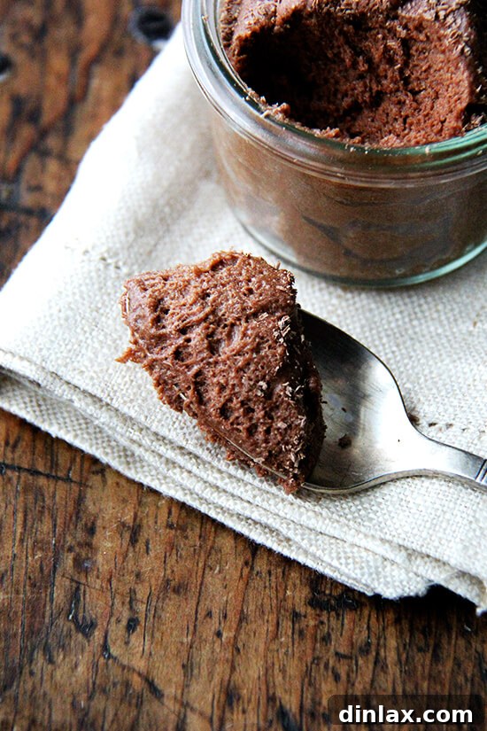 Julia Child's Signature Chocolate Mousse 8 A close-up shot of a spoon with a perfect bite of chocolate mousse, showcasing its rich texture and inviting appearance.