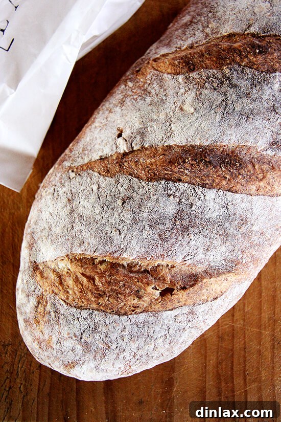 Fresh Threads of Vergennes 15 A beautiful, rustic loaf of Vergennes Laundry wood-fired bread