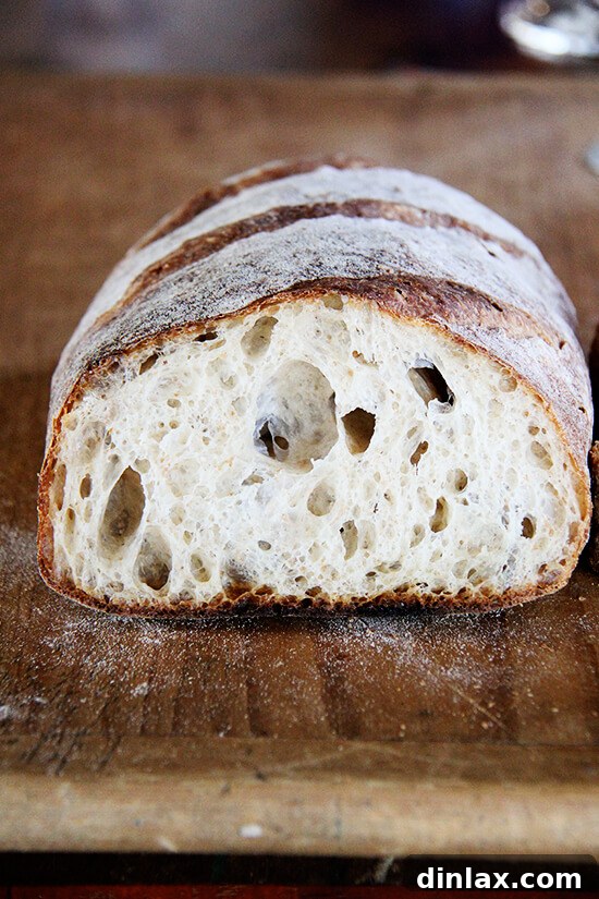 Fresh Threads of Vergennes 16 A close-up of a crusty artisanal bread loaf, revealing its texture