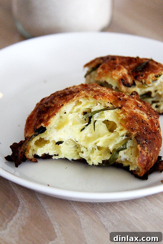 Fresh Threads of Vergennes 6 Close-up of a golden brown cheddar and tarragon gougère, a savory delight