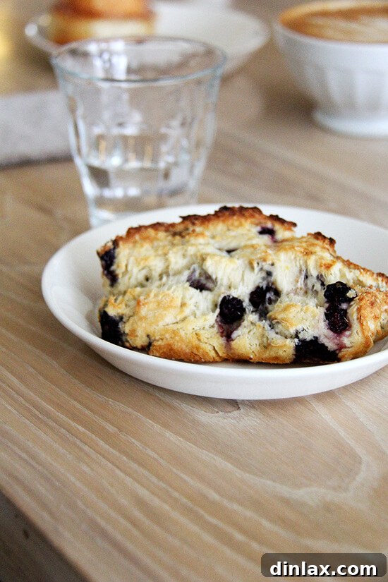 Fresh Threads of Vergennes 7 A fluffy blueberry scone, studded with fresh blueberries