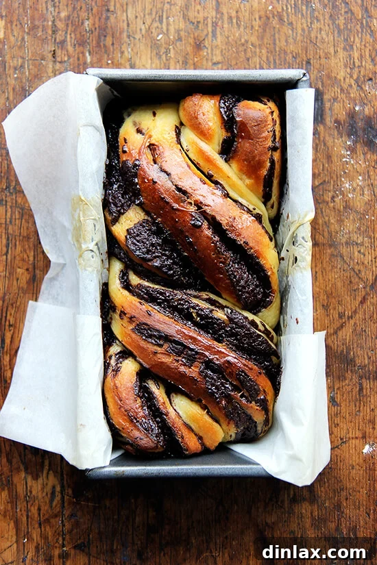 Freshly baked babka, golden and aromatic, a testament to a successful bake. The smell filling the kitchen is intoxicating! An overhead shot of freshly baked babka loaves, golden brown and glistening with warmth, just out of the oven.