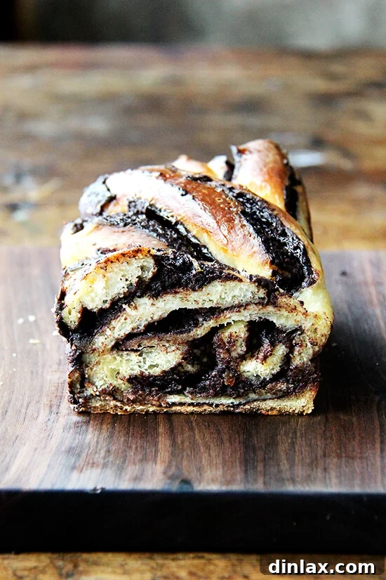 The irresistible sight of a sliced babka, revealing its perfect spirals. It's truly a delight for the senses. A halved loaf of orange-chocolate babka, revealing the stunning, intricate swirls of chocolate and dough within.