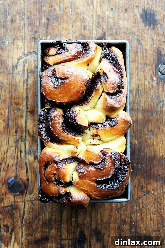 Mastering Chocolate Swirl Babka 14 A small, charming mini loaf of babka, expertly crafted from the trimmed dough ends.