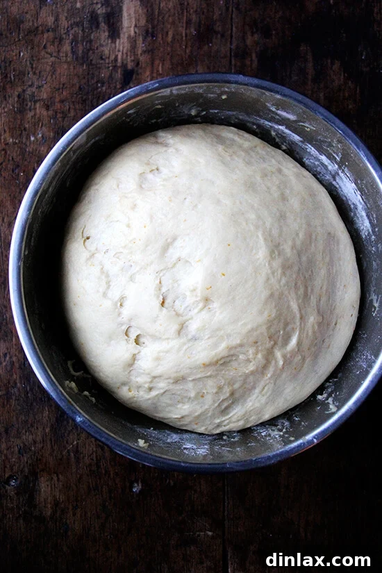 Mastering Chocolate Swirl Babka 3 A bowl filled with babka dough, perfectly risen and expanded to double its original volume, indicating readiness for the next stage.