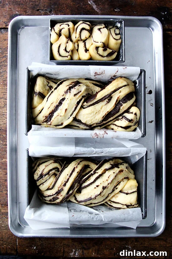 Mastering Chocolate Swirl Babka 9 Three loaf pans filled with twisted babka dough, perfectly risen and ready for baking in the oven.