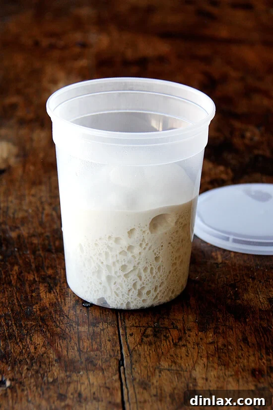 Freshly prepared pizza dough, portioned and ready for shaping, is essential for crafting the perfect calzone.