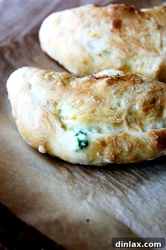 A freshly baked calzone, golden-brown and puffed, straight from the oven, promising a delicious and comforting meal.