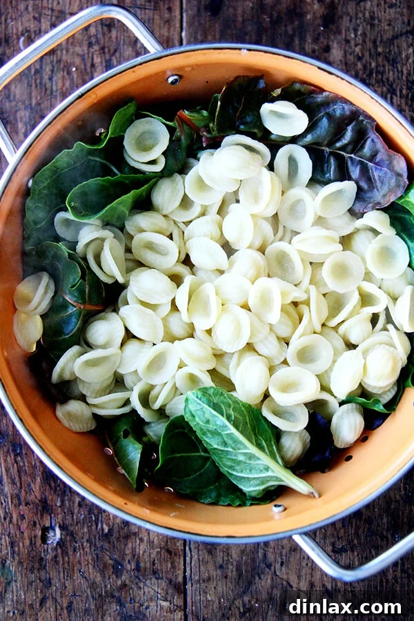 Cooked orecchiette pasta and wilted greens, perfectly drained together in a colander, ready to be combined with the sauce.
