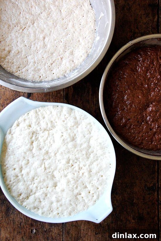 Freshly mixed peasant bread dough gently rising in a glass bowl, indicating the start of the fermentation process.