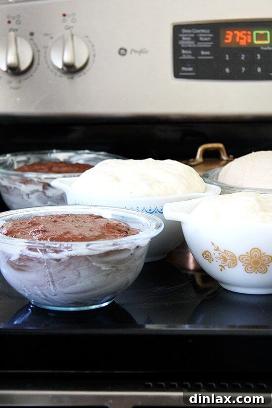 Peasant bread dough beautifully rising on a stovetop, indicating a warm, ideal environment for proofing before baking.