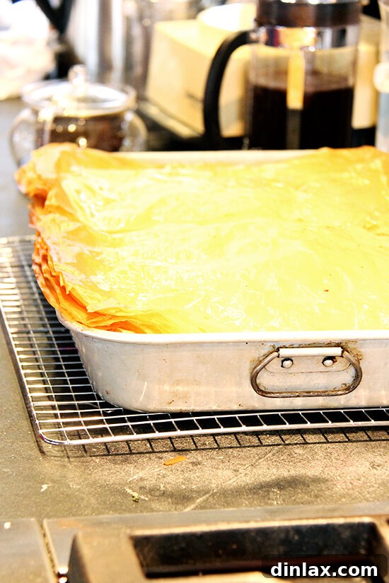 Freshly baked, golden pita bread, soft and pillowy, ready to be served with traditional Greek dishes.