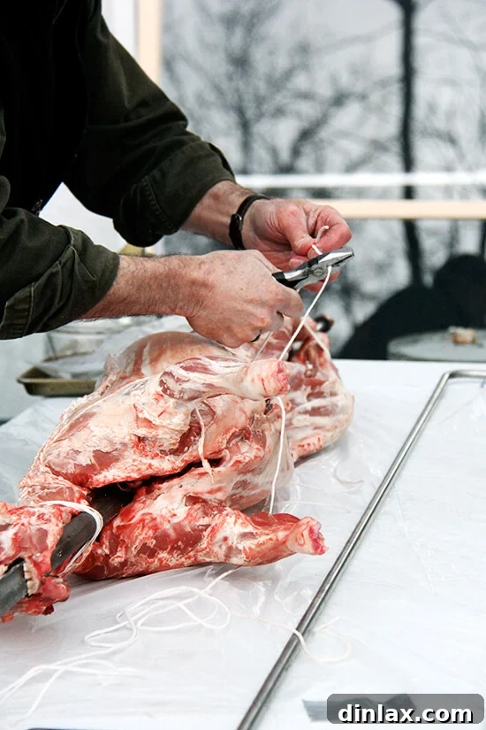 Uncle Wade meticulously preparing the whole lamb for spit roasting, ensuring it's perfectly seasoned and secured.