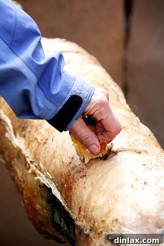 A piece of freshly baked focaccia bread being rubbed against the roasting lamb, soaking up the delicious juices.