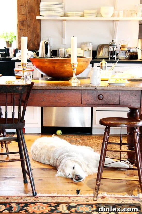 Argos, the family dog, deeply asleep, having embraced the full spirit of the Greek Easter celebration.