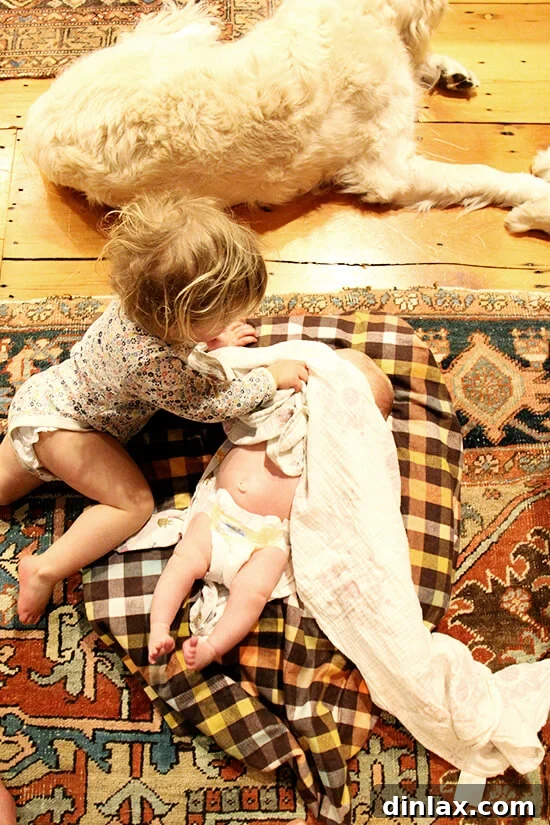 Wren, full of playful energy, helping Tig get settled for the night after a long day of celebrations.