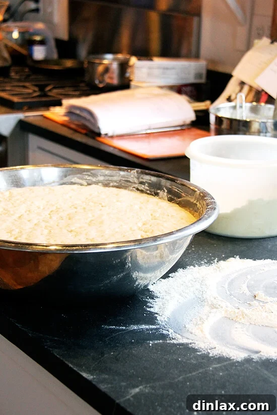 A large batch of Jim Lahey's no-knead pizza dough, expertly punched down and ready for shaping into delicious focaccia.