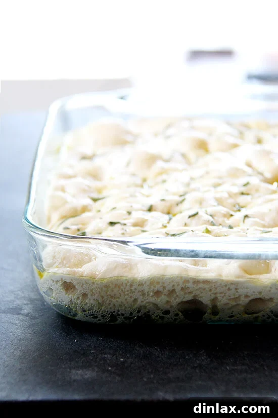 Beautifully prepared focaccia dough, topped with aromatic rosemary and sparkling sea salt, poised for baking.