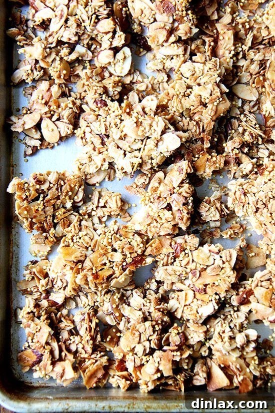 Close-up of crunchy granola clumps, showcasing the perfect texture and mix of ingredients.