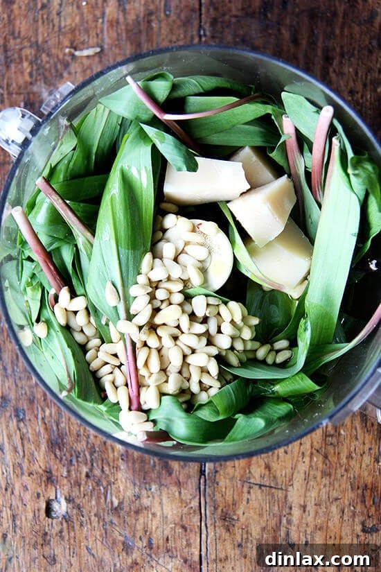 Ramp Pesto Pizza and Pickled Ramps 5 Ingredients for ramp pesto being combined in a food processor, highlighting the fresh greens.
