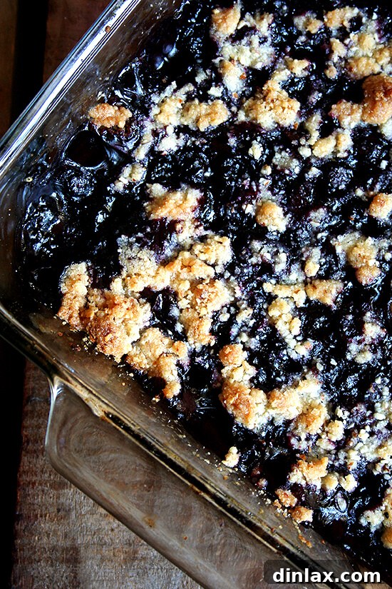 Warm lemon-blueberry crisp with a golden, crumbly topping, perfect with a scoop of ice cream.