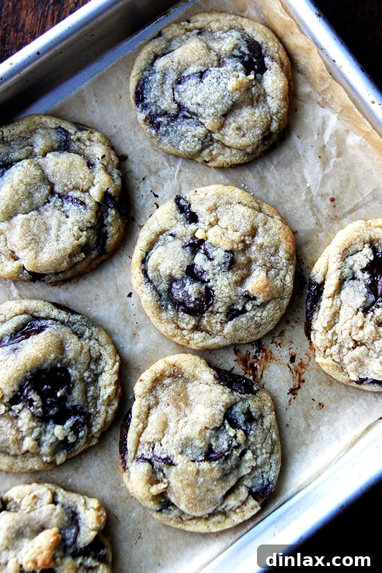 Perfectly baked soft and chewy chocolate chip cookies, a timeless dessert favorite.