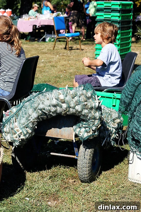 Canal House Spring Shaved Asparagus and Arugula Salad 12 Large bags brimming with freshly harvested garlic bulbs, awaiting their next stage.