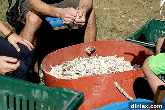 Canal House Spring Shaved Asparagus and Arugula Salad 14 Hands carefully splitting garlic bulbs into individual cloves.