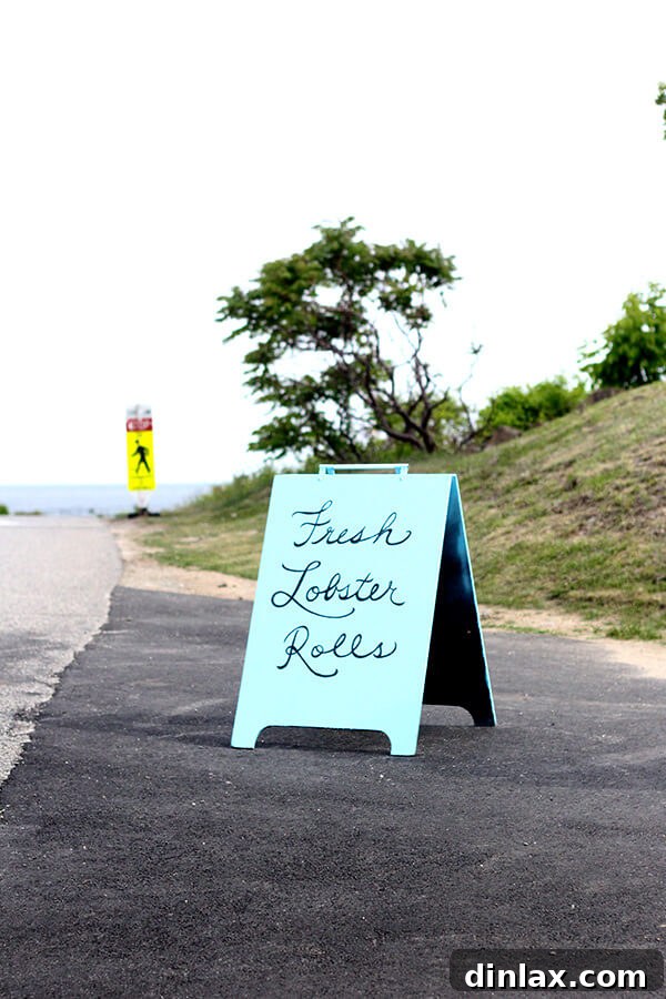 A scenic view of the Maine coastline, featuring the rugged beauty and serene atmosphere that characterizes this stunning region, offering glimpses of both land and sea. Image by alexandracooks.com