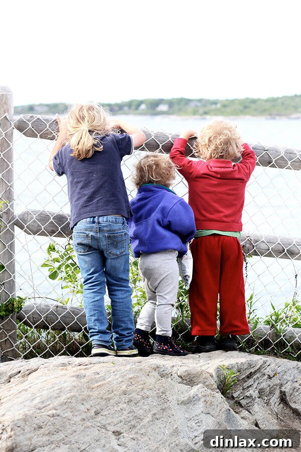 A serene view looking out over the Maine coastline, offering a moment of peaceful reflection.