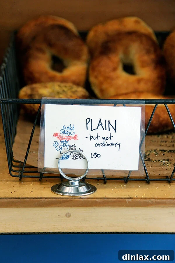 Selection of plain bagels, fresh and ready to be enjoyed, from the renowned Scratch Baking Co.