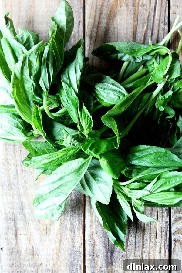 Fresh basil leaves, a key ingredient for green harissa