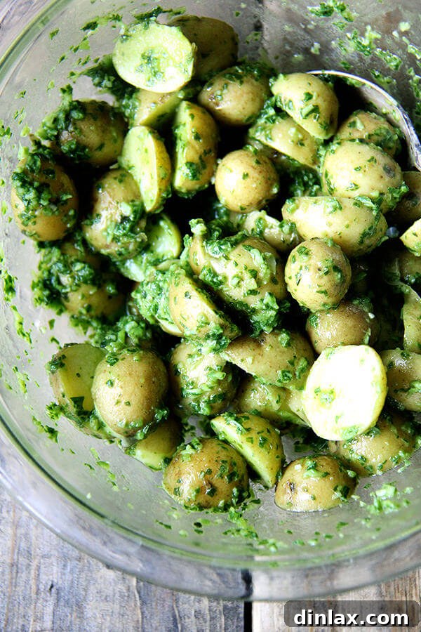Tossing new potatoes with green harissa in a bowl