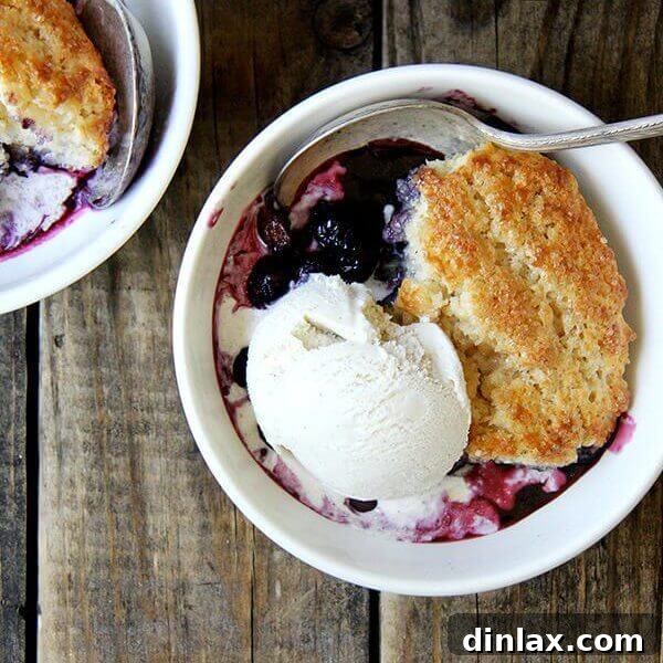 A perfectly portioned bowl of lemon blueberry cobbler with ice cream. A close-up of a single serving of blueberry cobbler with a scoop of vanilla ice cream and a spoon.