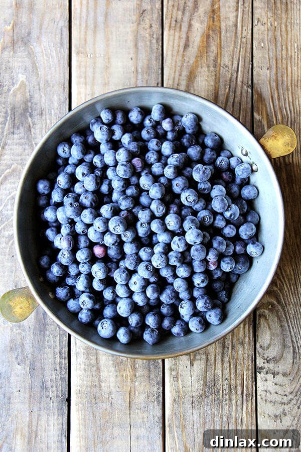 Sunshine Lemon-Berry Cobbler 2 A deep pie dish filled with fresh, vibrant blueberries, ready for the first baking stage of the cobbler.