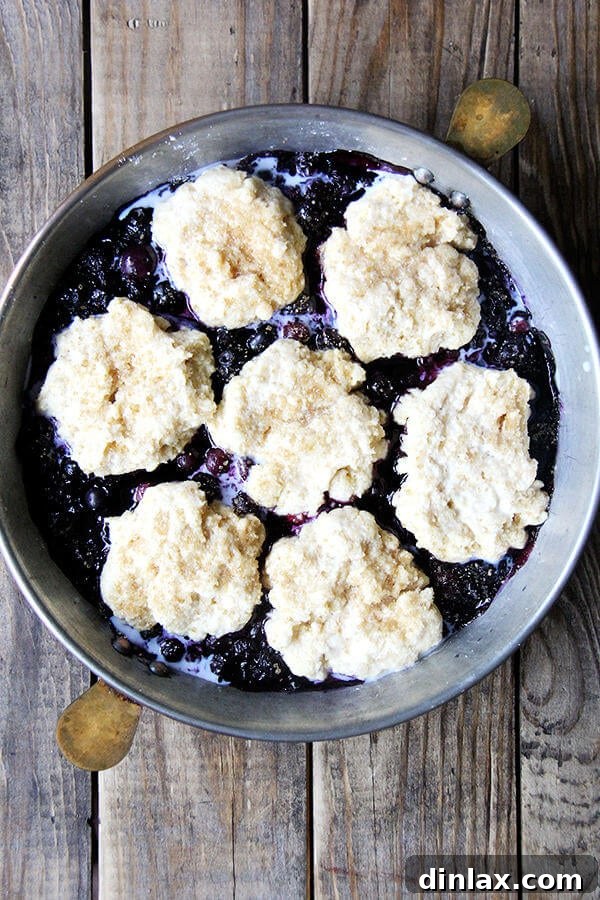 Sunshine Lemon-Berry Cobbler 7 Biscuit topping carefully placed over the hot, bubbling blueberry filling in a pie dish, ready for final baking.