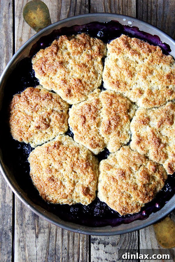 Sunshine Lemon-Berry Cobbler 8 A freshly baked blueberry cobbler in a pie dish, with golden-brown, flaky biscuits and bubbling fruit filling.