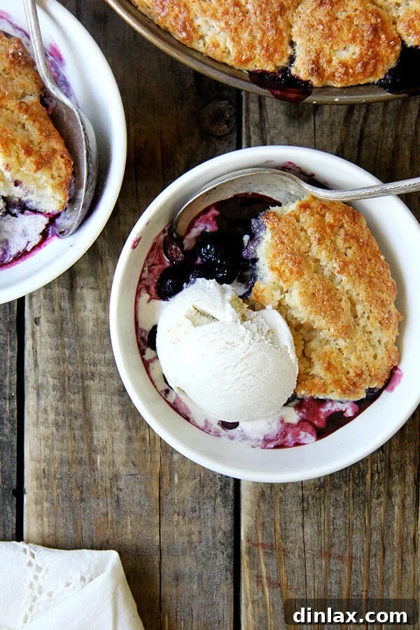 Perfectly baked blueberry cobbler served with vanilla ice cream, a quintessential summer dessert. A serving of warm blueberry cobbler in a bowl, topped with melting vanilla ice cream.