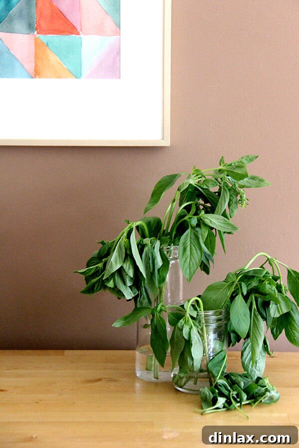 CSA Week 2 Making the Most of Simple Creme Fraiche Dressing Turnip Burgers and Bok Choy 6 Wilting basil stems in water