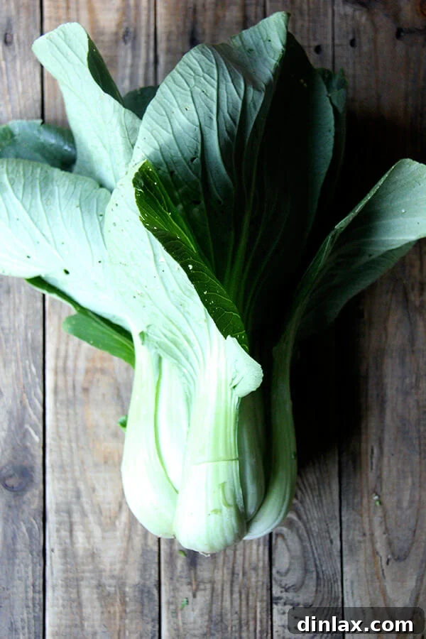 Close-up of fresh, vibrant bok choy stalks and leaves, ready for preparation.