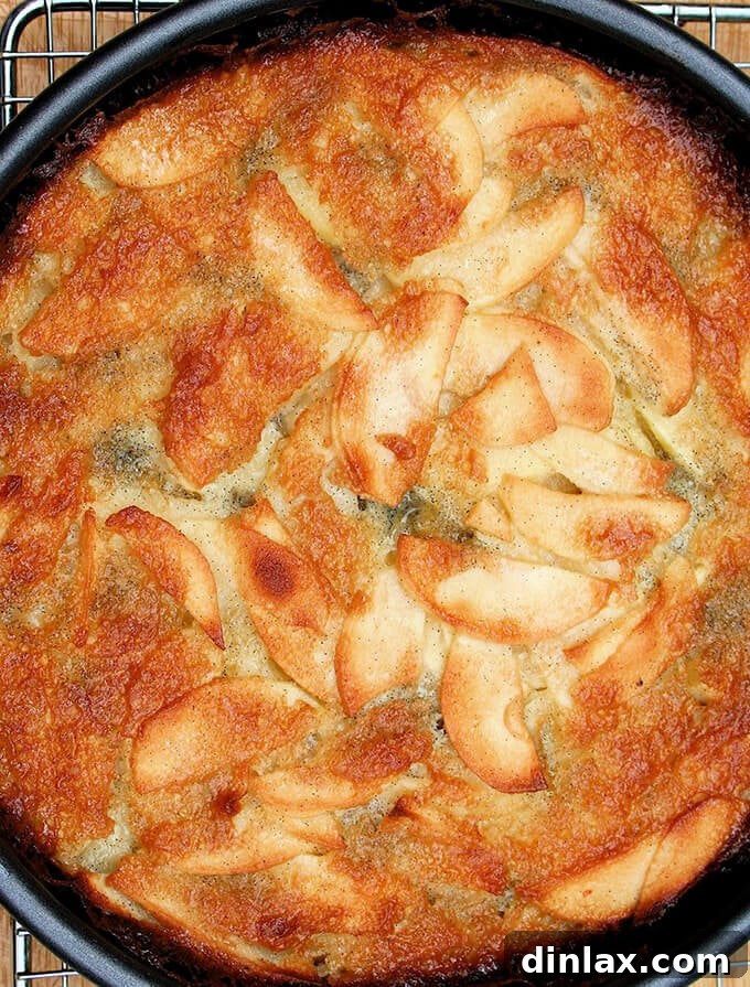 A golden-crusted Bolzano Apple Cake slice revealing its custardy texture and vanilla-speckled apples.