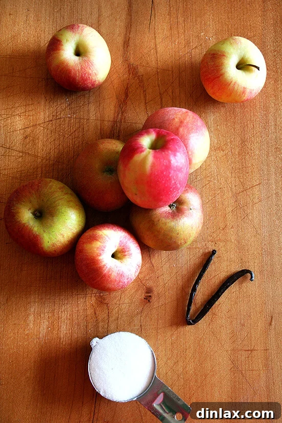 A vibrant selection of freshly picked farmers' market apples, perfect for baking.