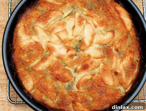 The smooth, custardy Bolzano Apple Cake batter evenly poured into a prepared baking pan.